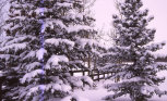 glen_valley_farm_web_site003003.jpg